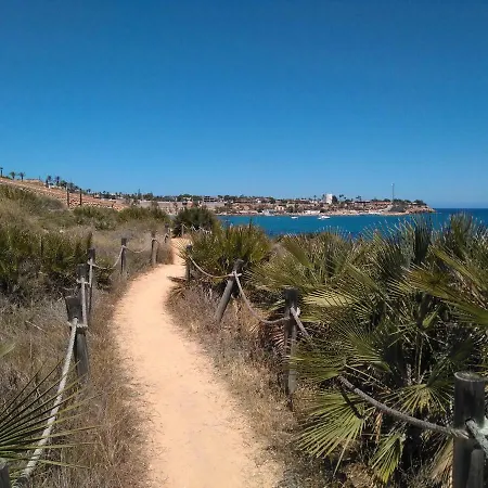 Mandarín * Oriola (Orihuela)